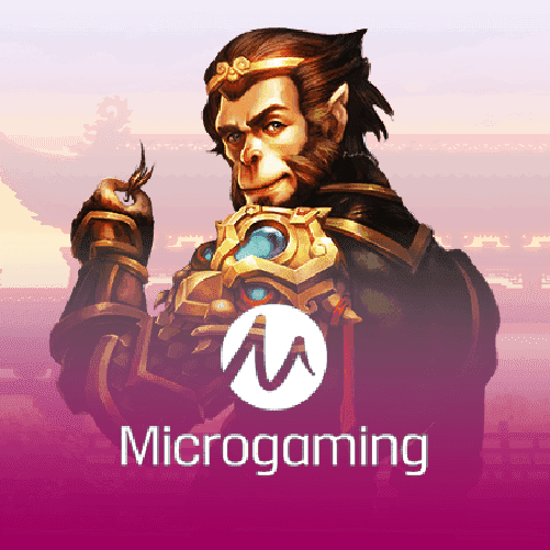 MicroGaming